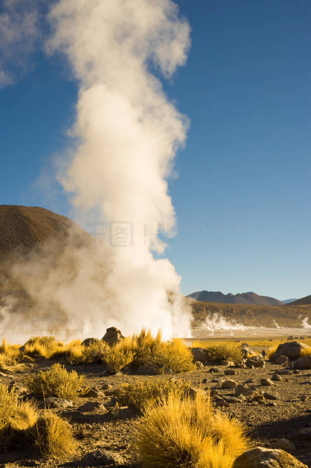  El Tatio ЪȪĺ 4300m, ɳĮ, з˹, , 