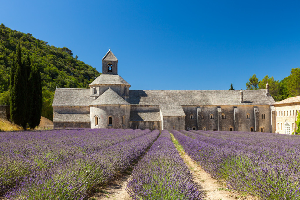 Abbaye de Snanque with lavender field, Provence, France