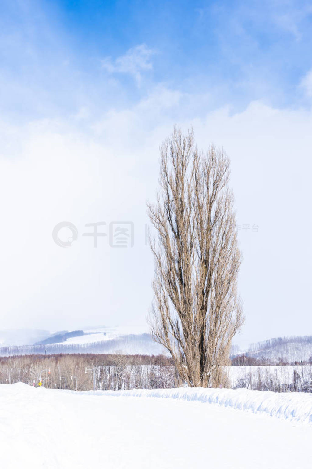 Beautiful outdoor nature landscape with tree of ken and mary in