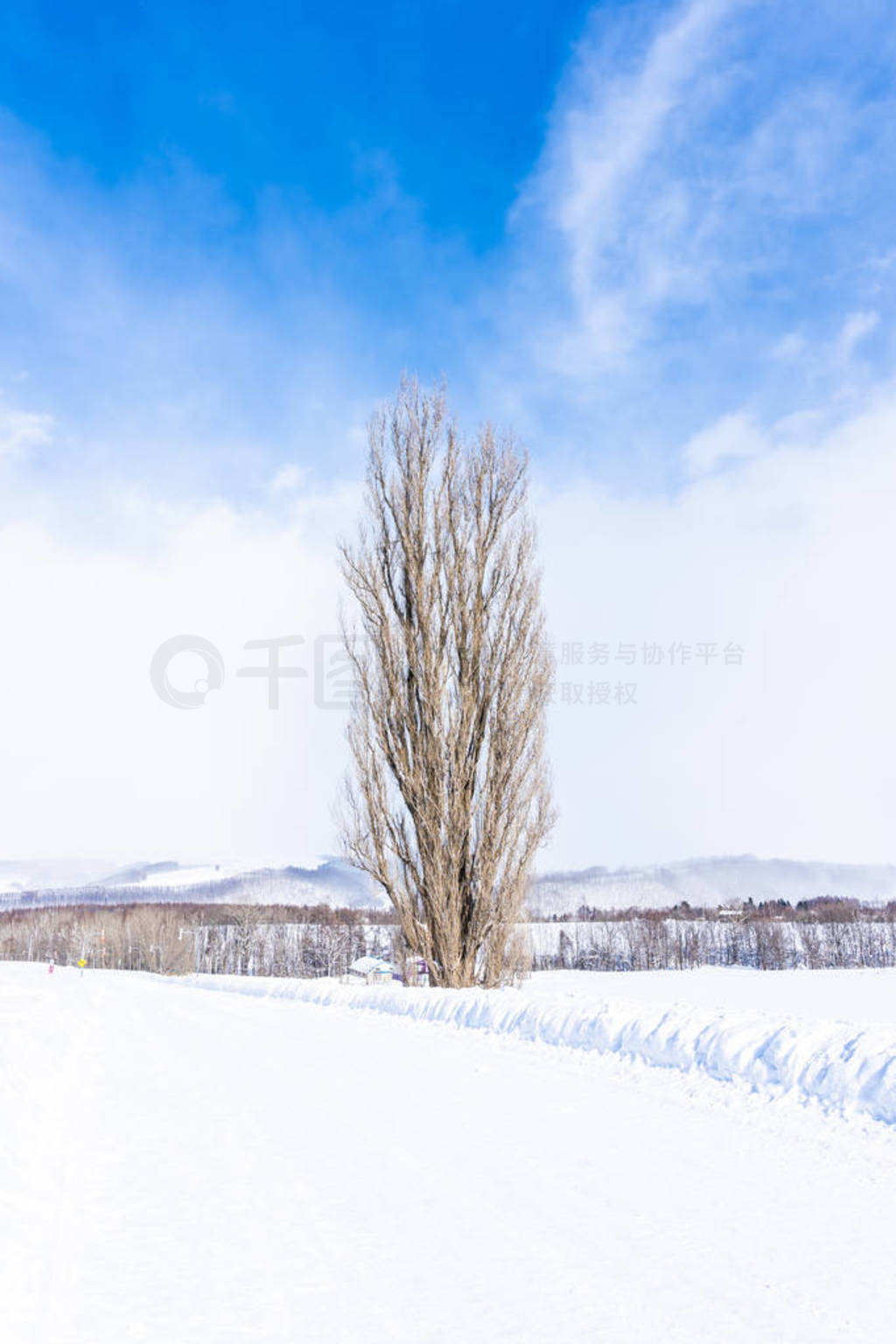 Beautiful outdoor nature landscape with tree of ken and mary in