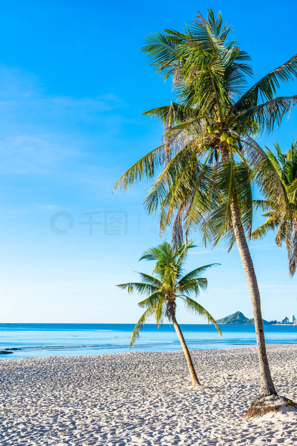 Beautiful outdoor landscape of sea ocean and beach with coconut