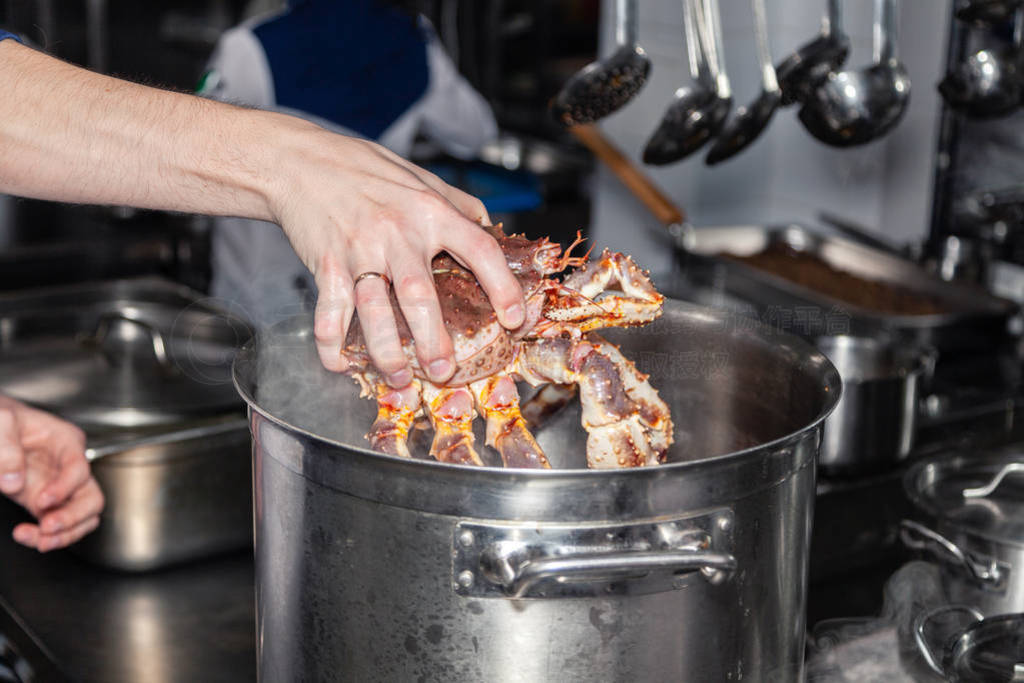 Hands cook chef put fresh red big blue kamchatka crab in pan to