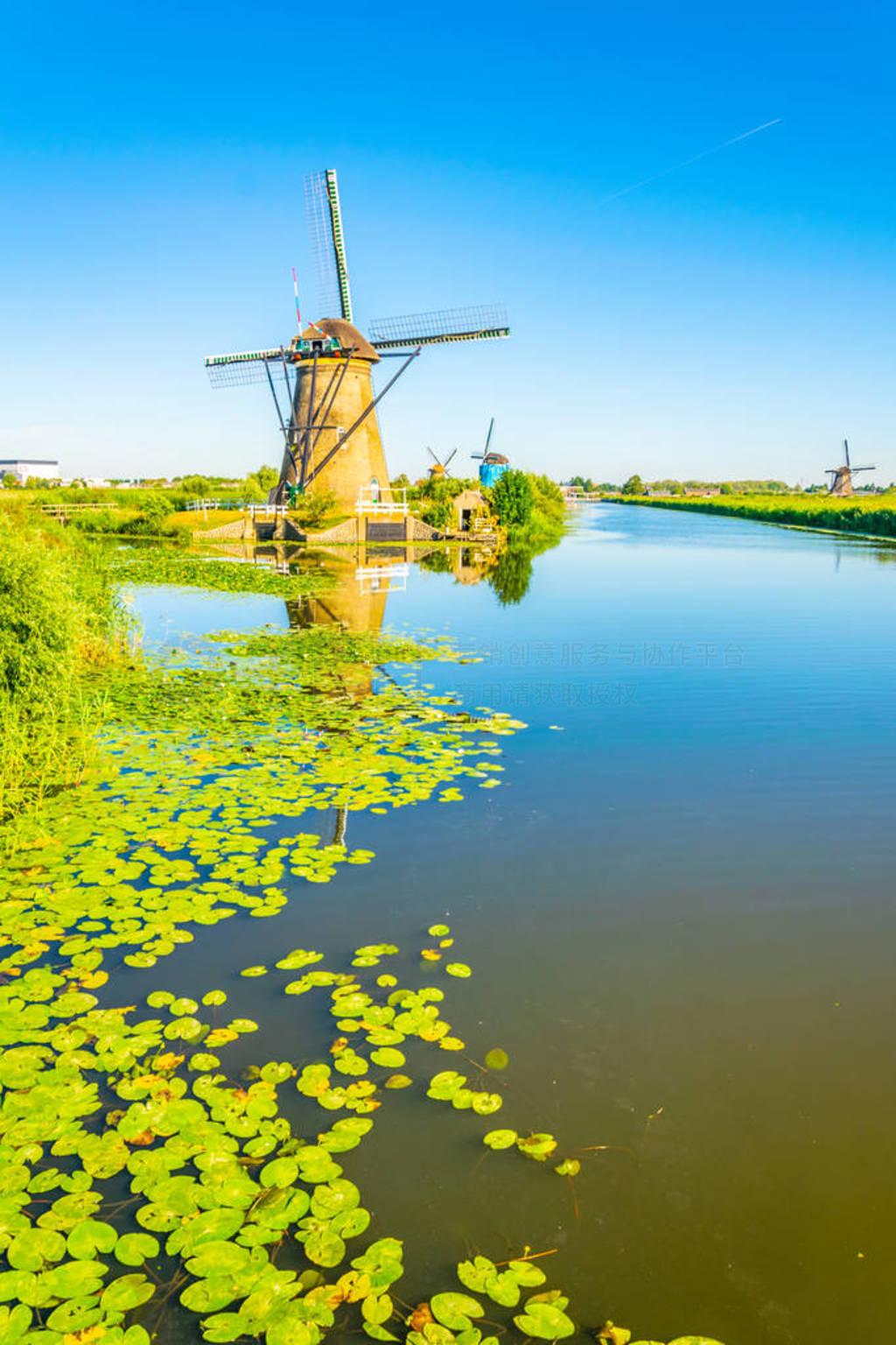 Kinderdijk windmills viewed during sunny summer day, Rotterdam,