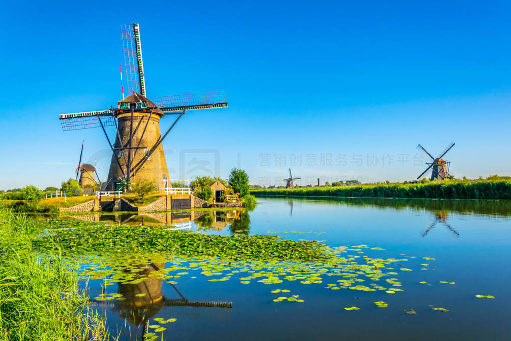 Kinderdijk windmills viewed during sunny summer day, Rotterdam,