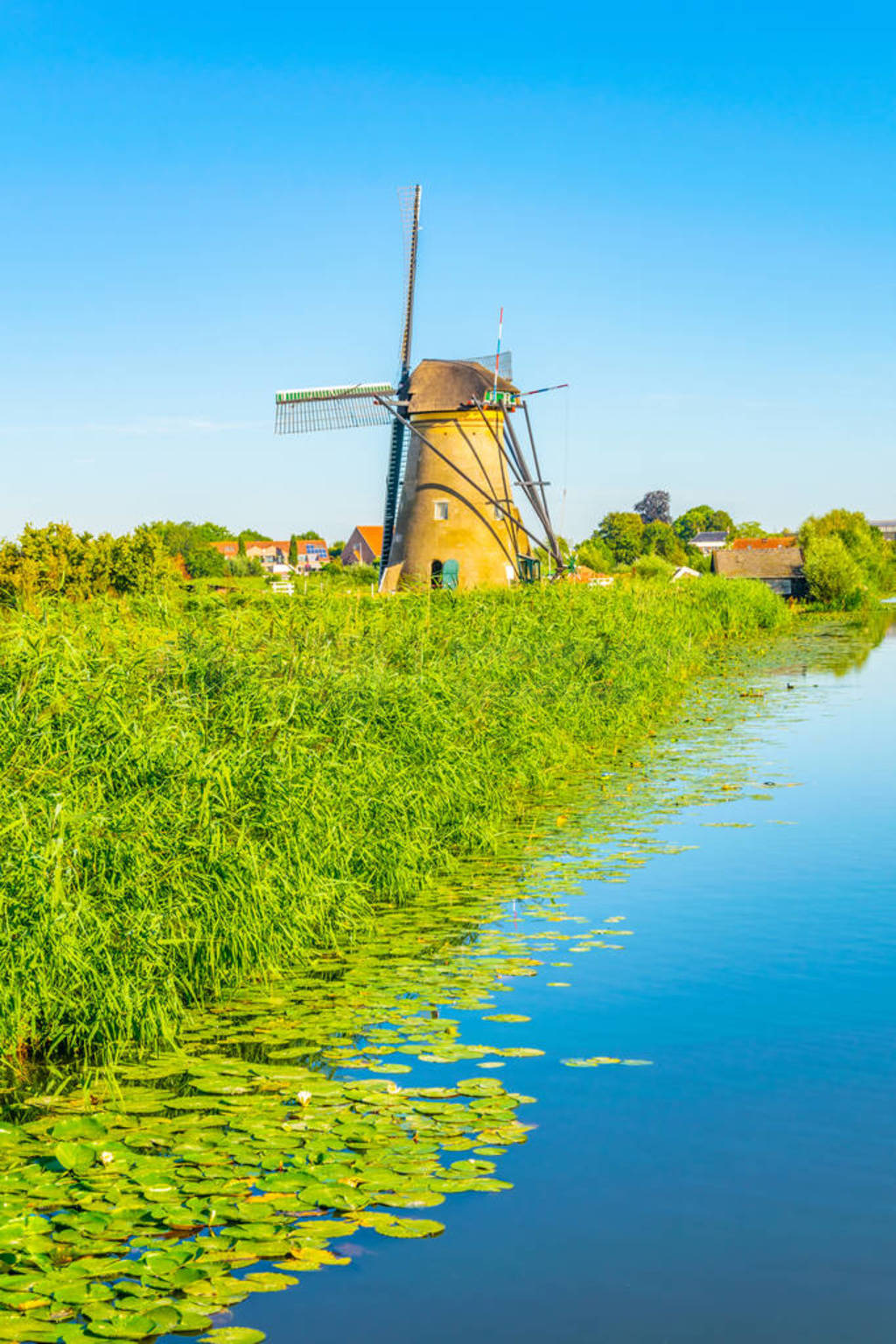 Kinderdijk windmills viewed during sunny summer day, Rotterdam,