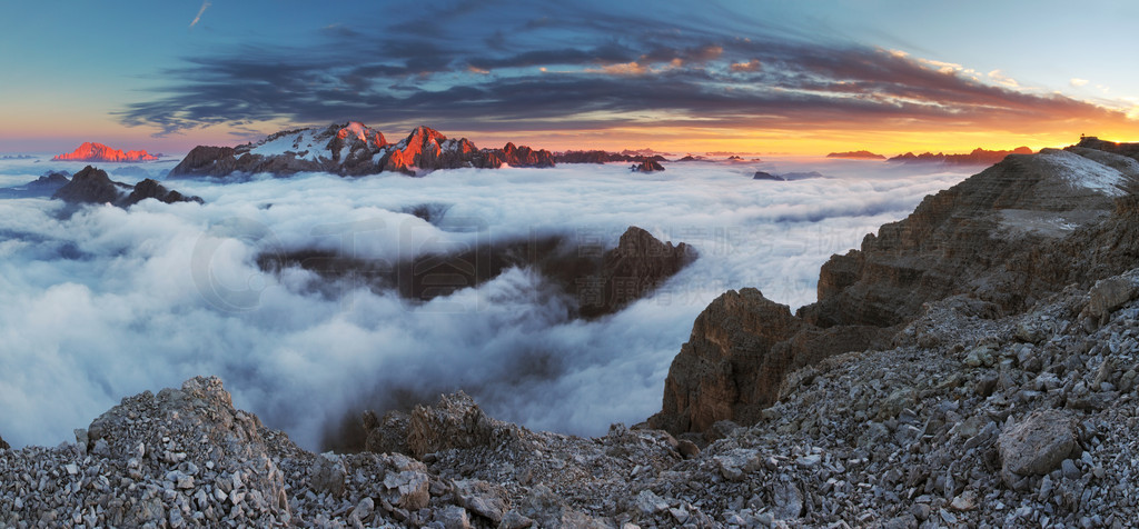 ڶ׵ɽɽ marmolada