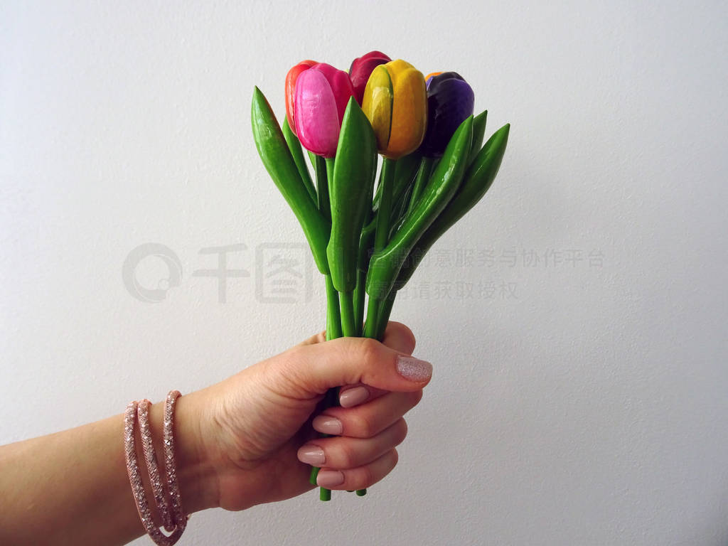 Hand Holding Up a Bouquet of Colorful Wooden Tulips Isolated on