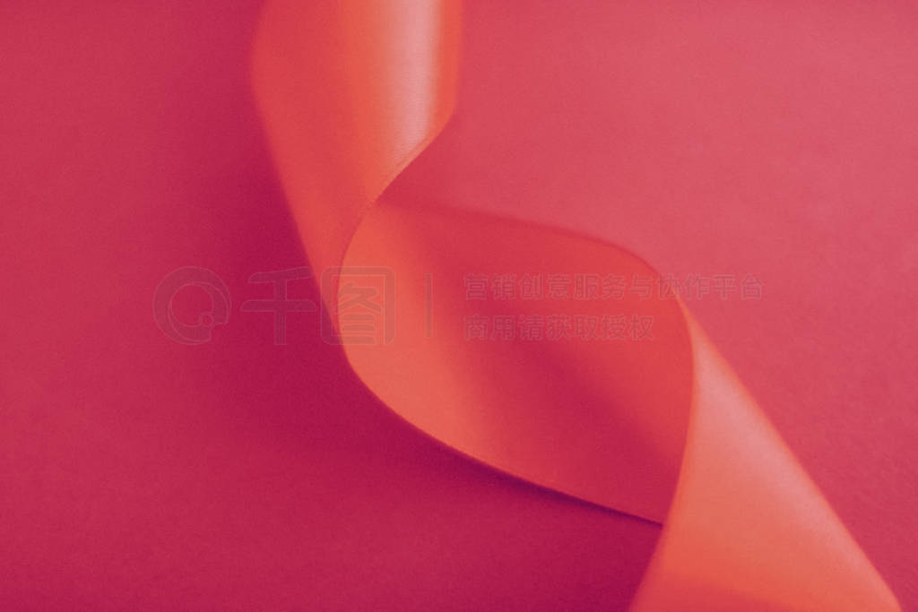 Abstract curly silk ribbon on rose background, exclusive luxury