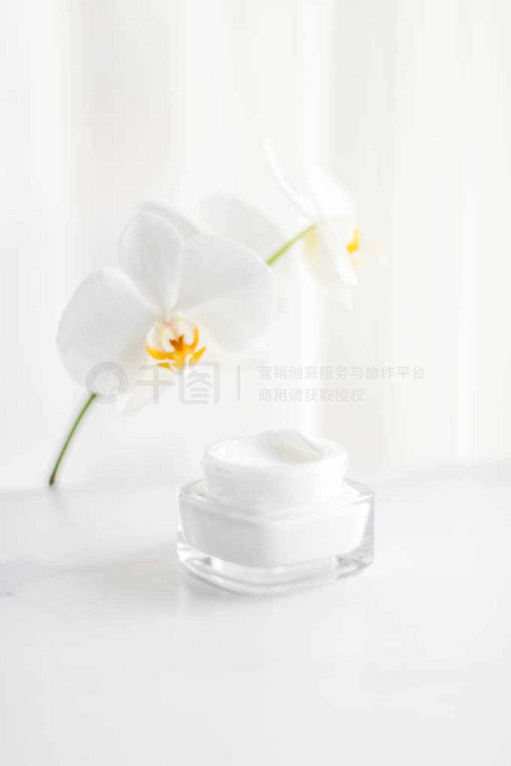 Face cream moisturizer jar and orchid flower, moisturizing skin