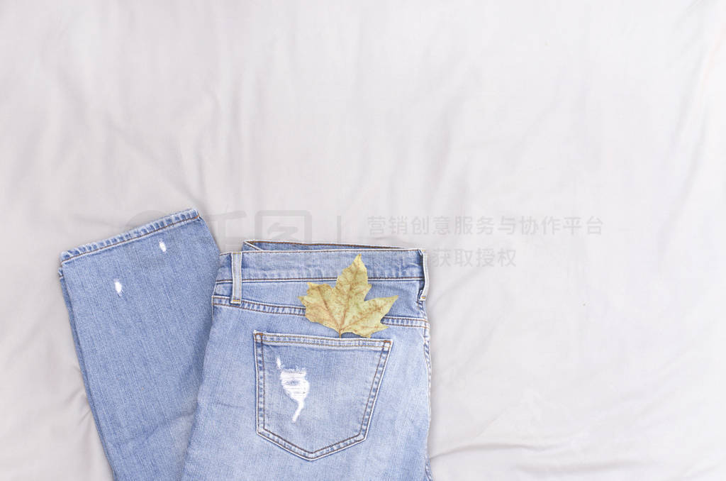 Women's jeans with a sheet from a tree in a pocket lie on the be