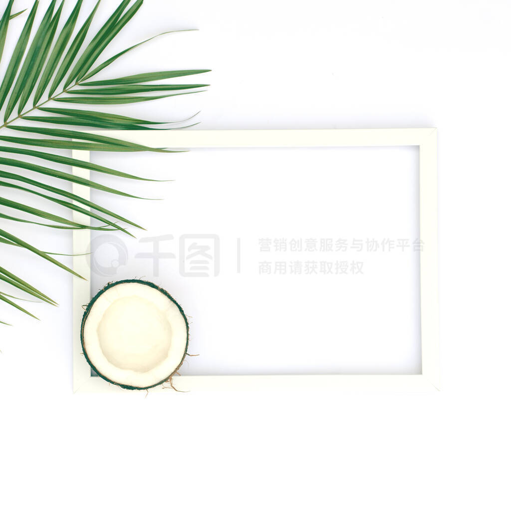 Beautiful background in white with a palm branch and coconut.