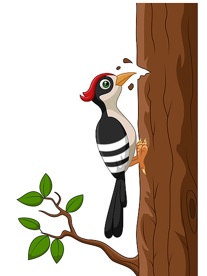 一棵树上的卡通啄木鸟