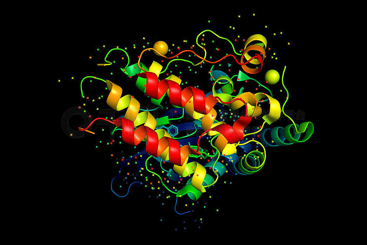 蛋白质分子的三维晶体结构, 肿瘤生长标志物