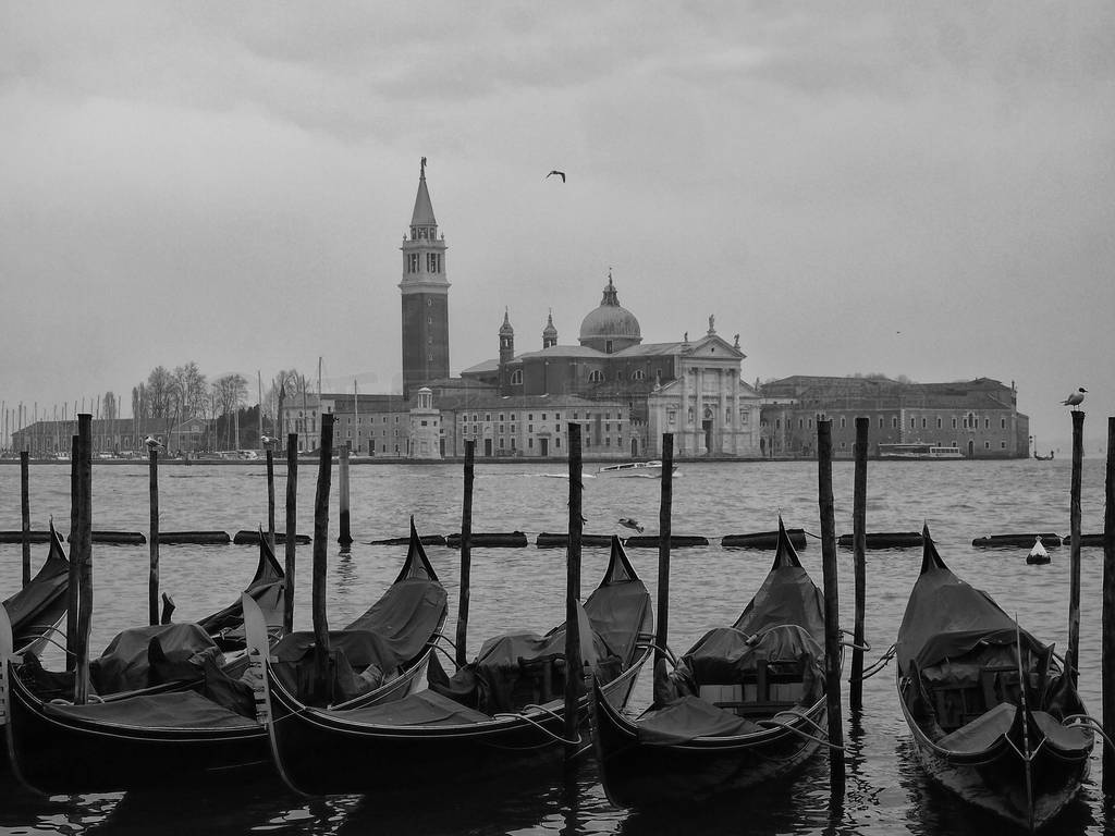 gondolas moored in venice outside the doges palace in san marco