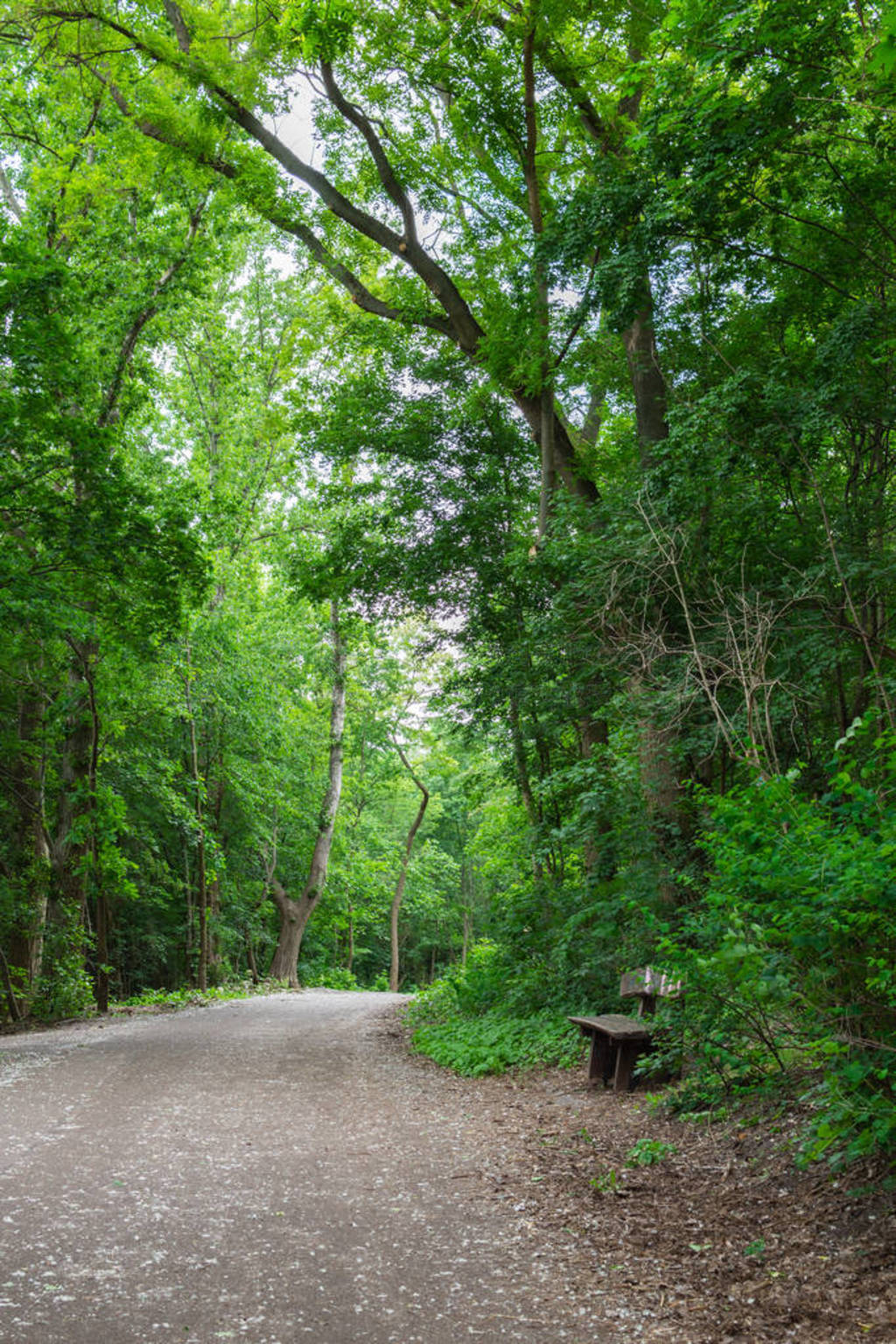 ԰ʵС·Volkspark Prenzlauer Berg