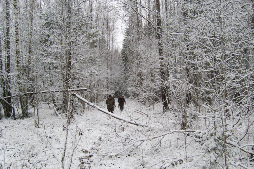 Hunters return from hunting from the forest. Picturesque winter