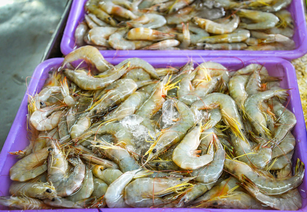 Fresh shrimp in ice bucket for sale in the seafood market