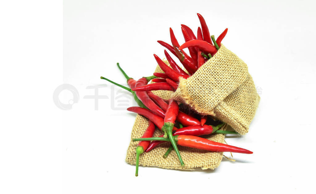 Fresh chilli pepper harvest from farm in sack isolated on white
