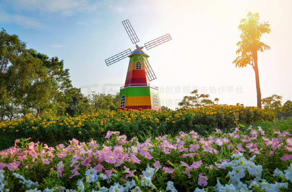 Landscape colorful flower garden and windmill on hill nature in