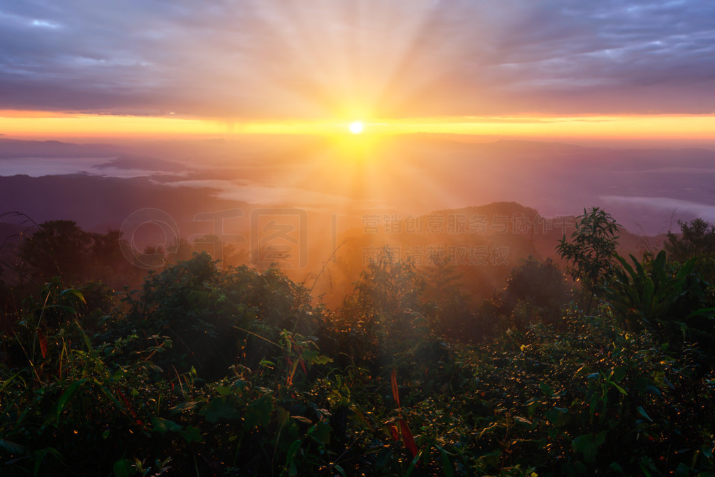 ɽ Doi Pha |ߣڶߵɽ壬̩̩