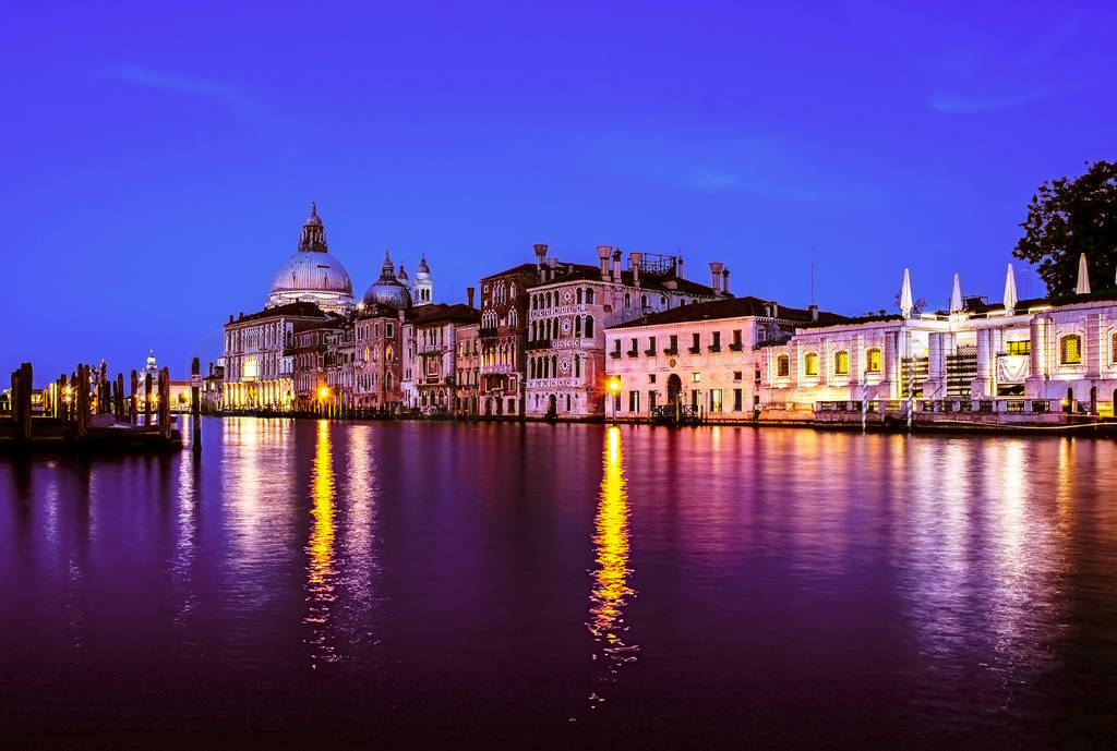 View of Grand Canal and Basilica della Salute at night