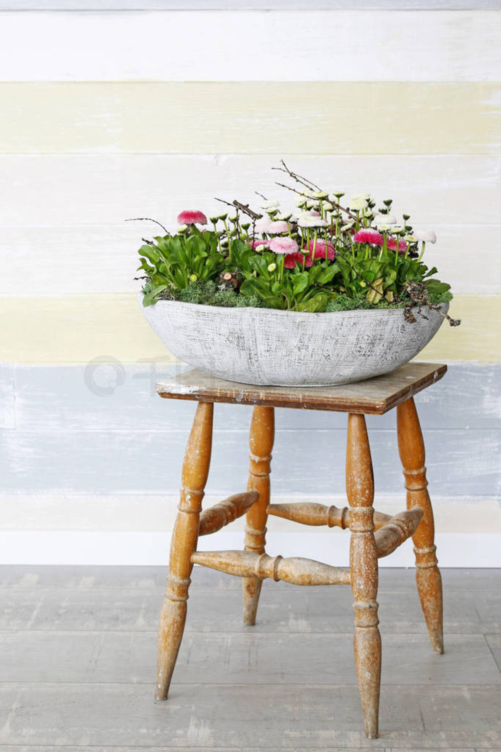 Pot with pink daisies.