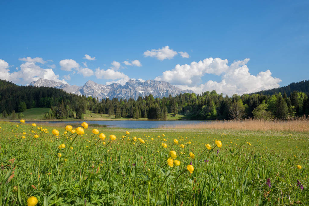 pictorial spring landscape, wetlands around lake geroldsee with