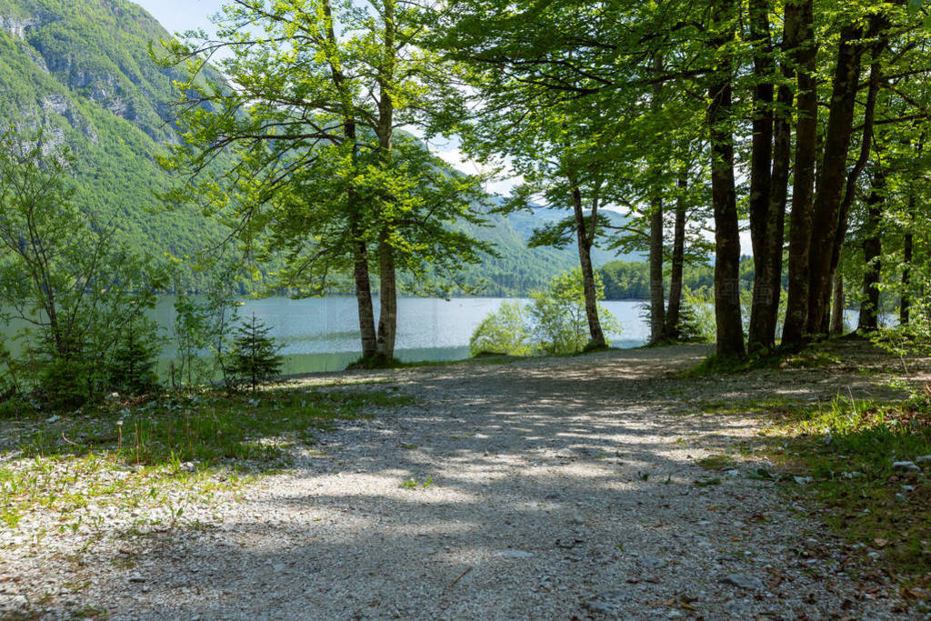 ˹ҹ԰BohinjUkanc