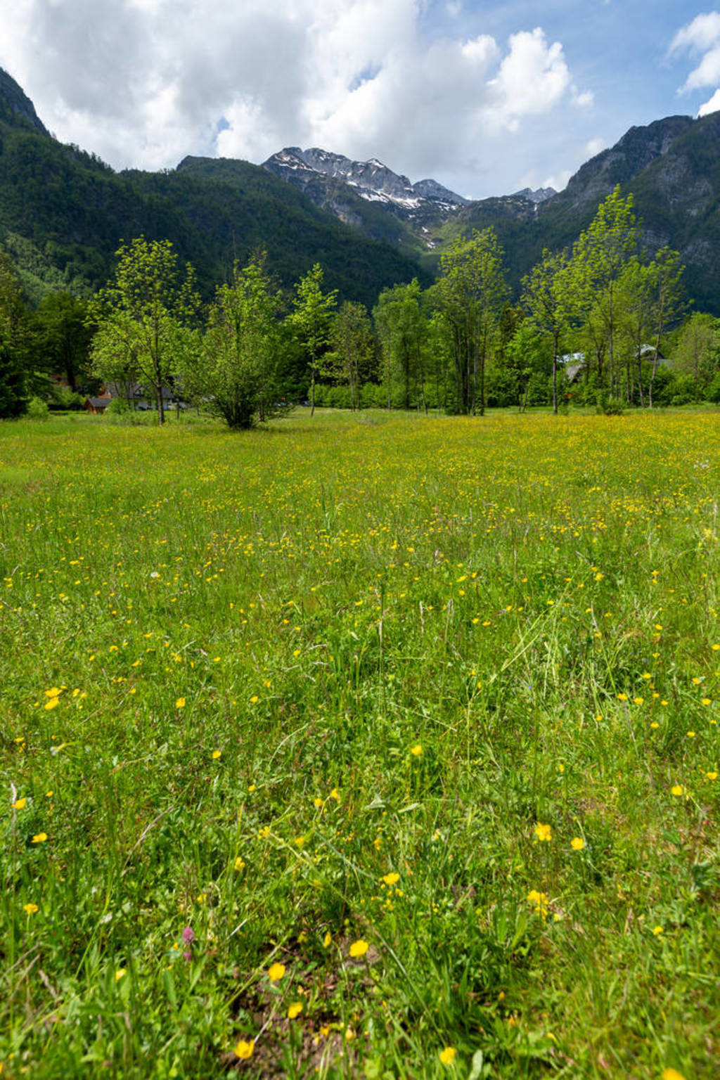 ˹ҹ԰BohinjUkanc