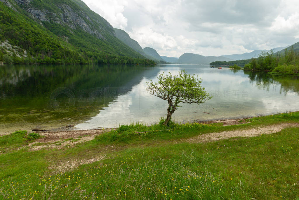 ˹ҹ԰BohinjUkanc