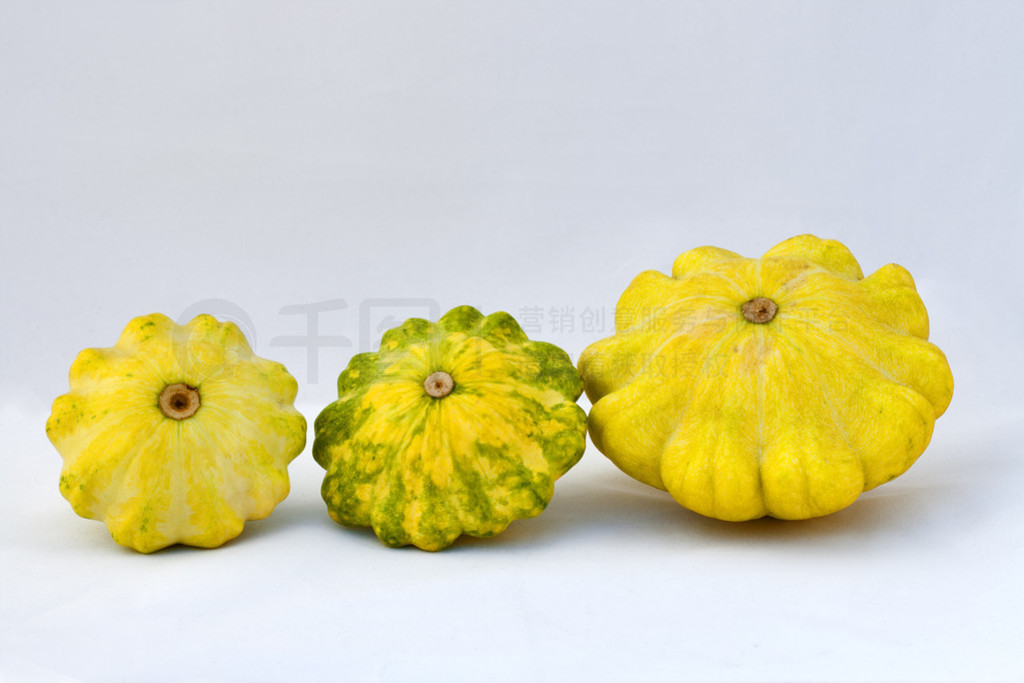 pattypan Ϲ