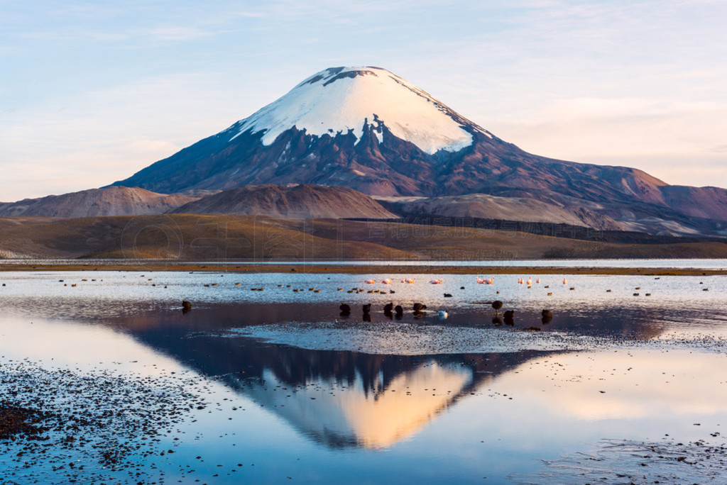 ѩס Parinacota ɽӳں Chungara