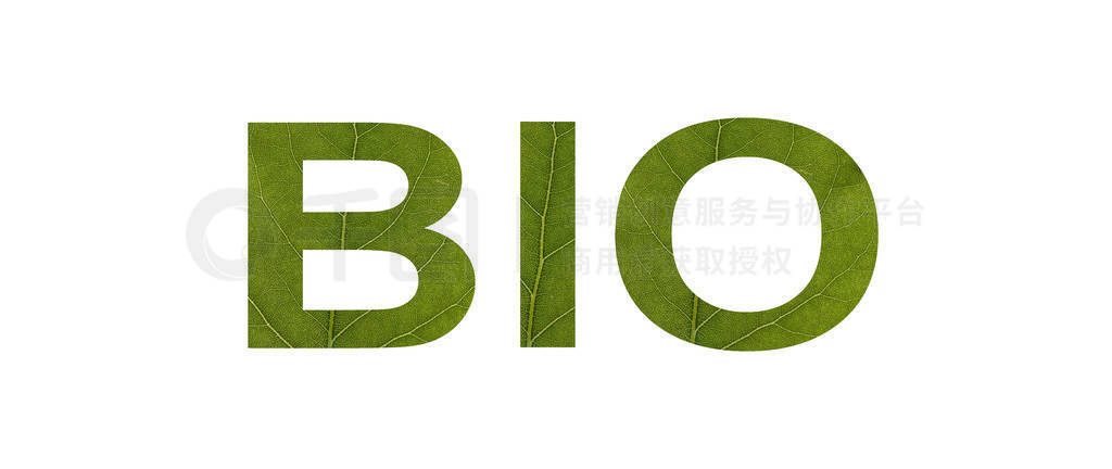 ECO word from green leaf isolated on white background. Concept: