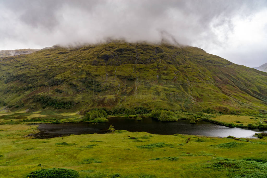 buachaille 