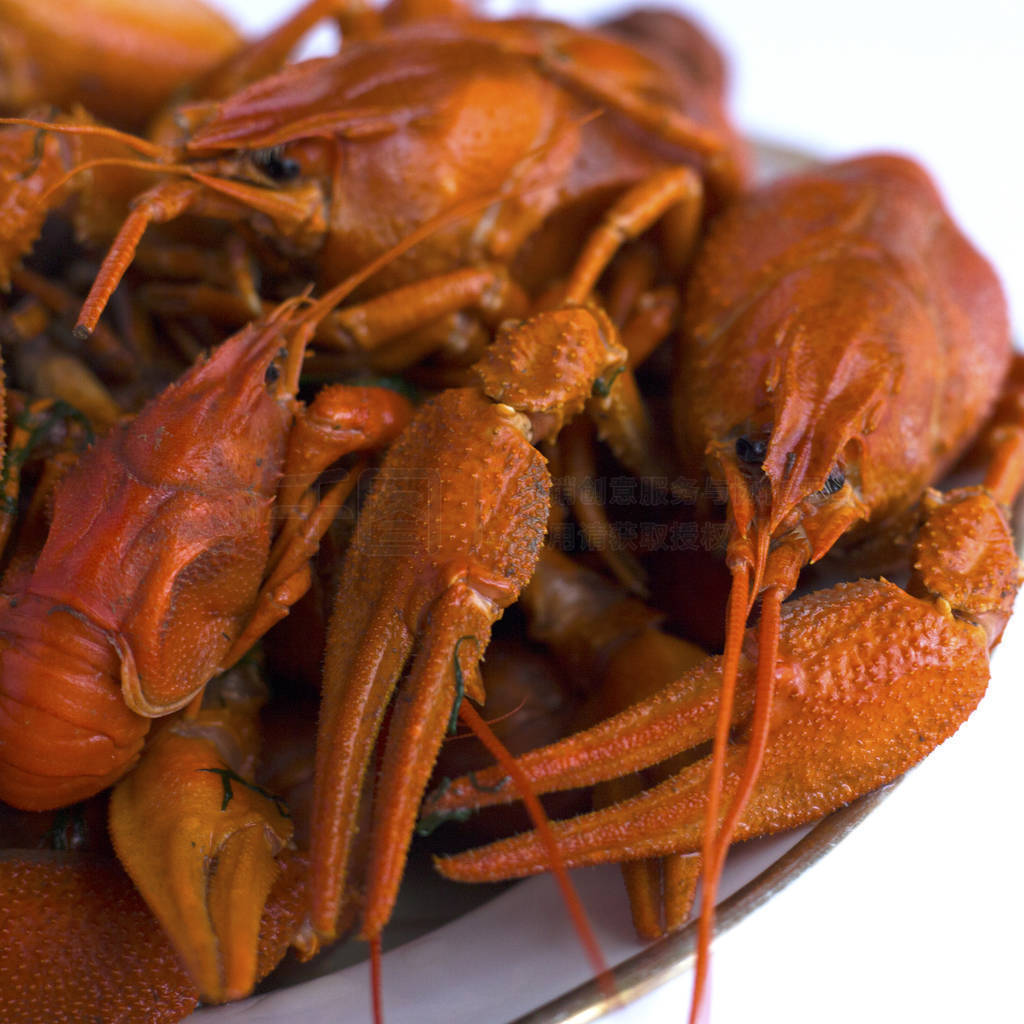 Crustacea,cooked red crayfish in a plate on a white background.