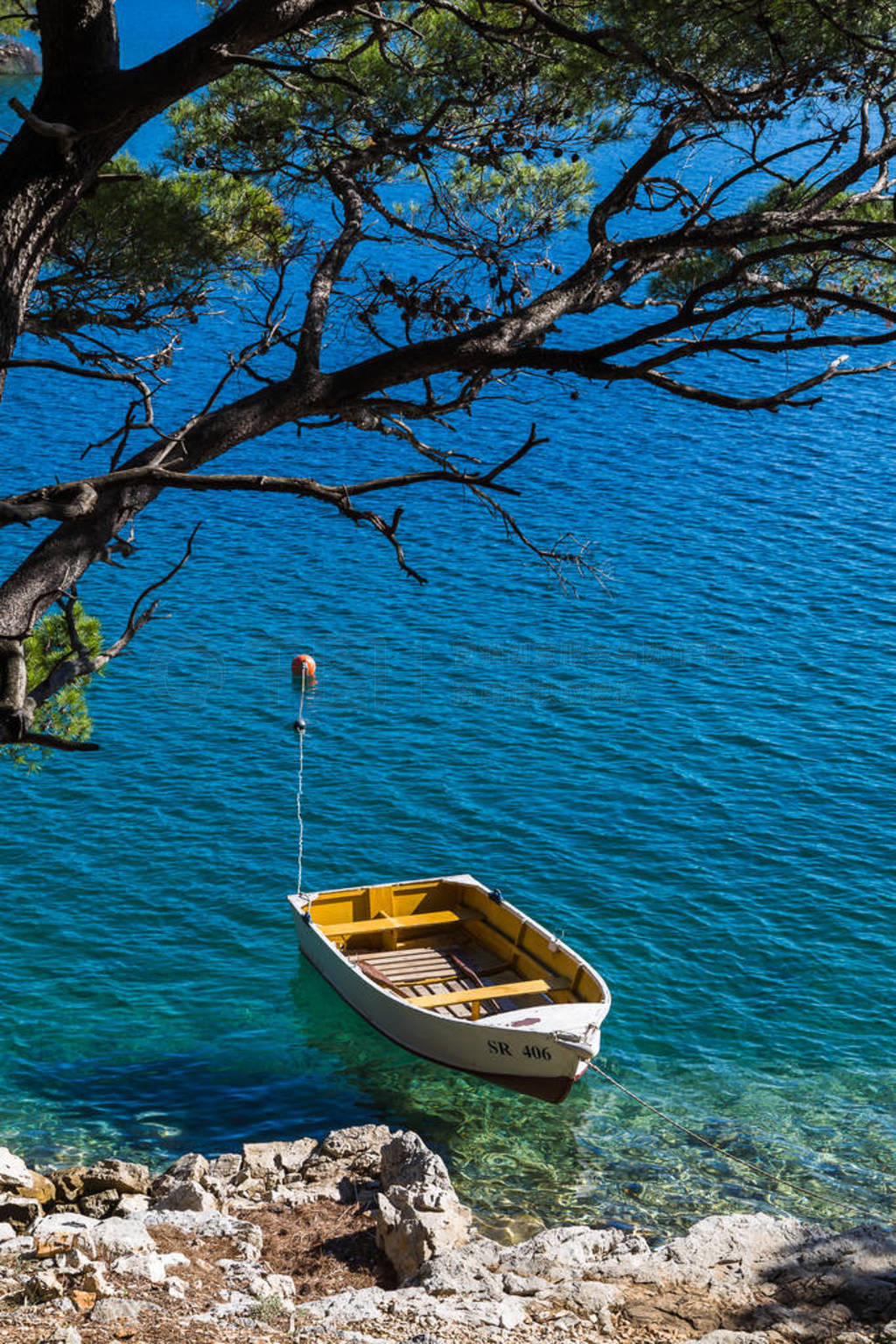 ͣ Mljet 浺