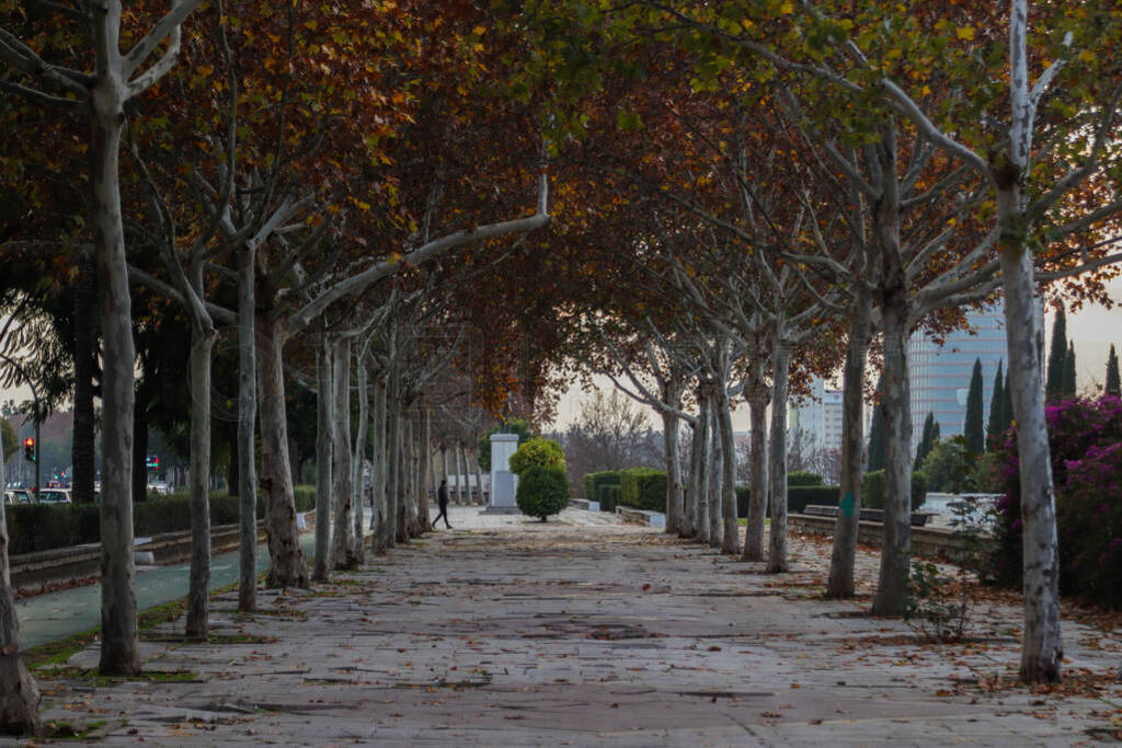 Empty promenade with red leaves during autumn