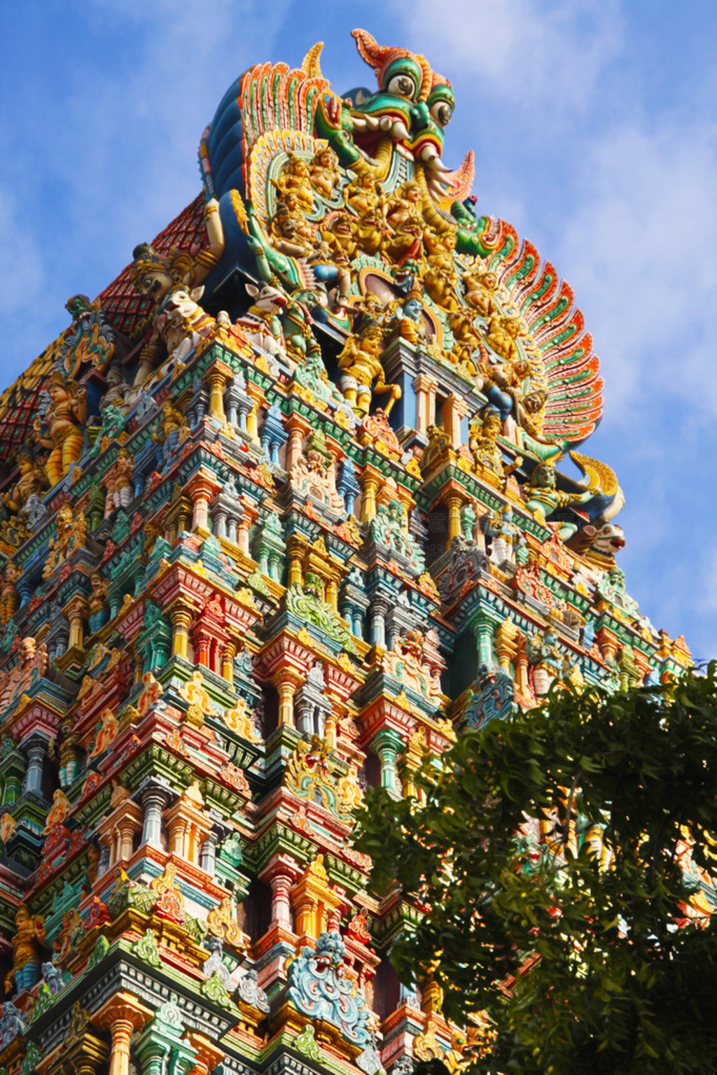 meenakshi 