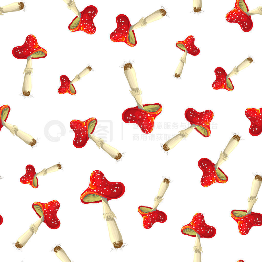 ɫϵķĢͼ㶾ĢɭֶĢͼͨƬFly agaricֽϹĲӬĢͼƬ