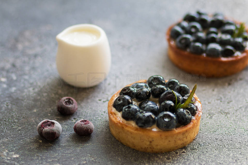 Delicious blueberry tartlets with vanilla custard cream on gray