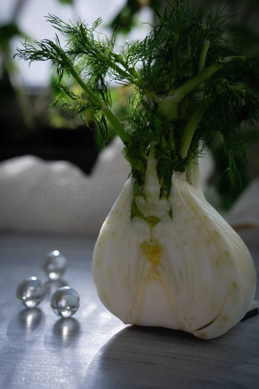Balanced nutrition. Fennel on a white surface.