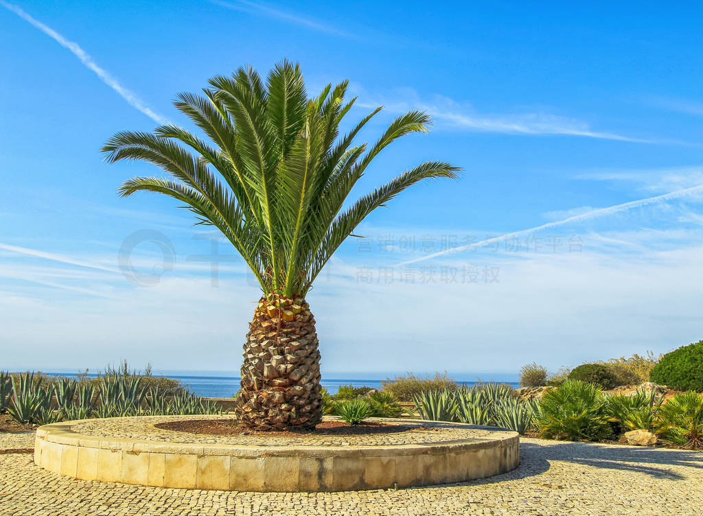 Rocky beach, cascais