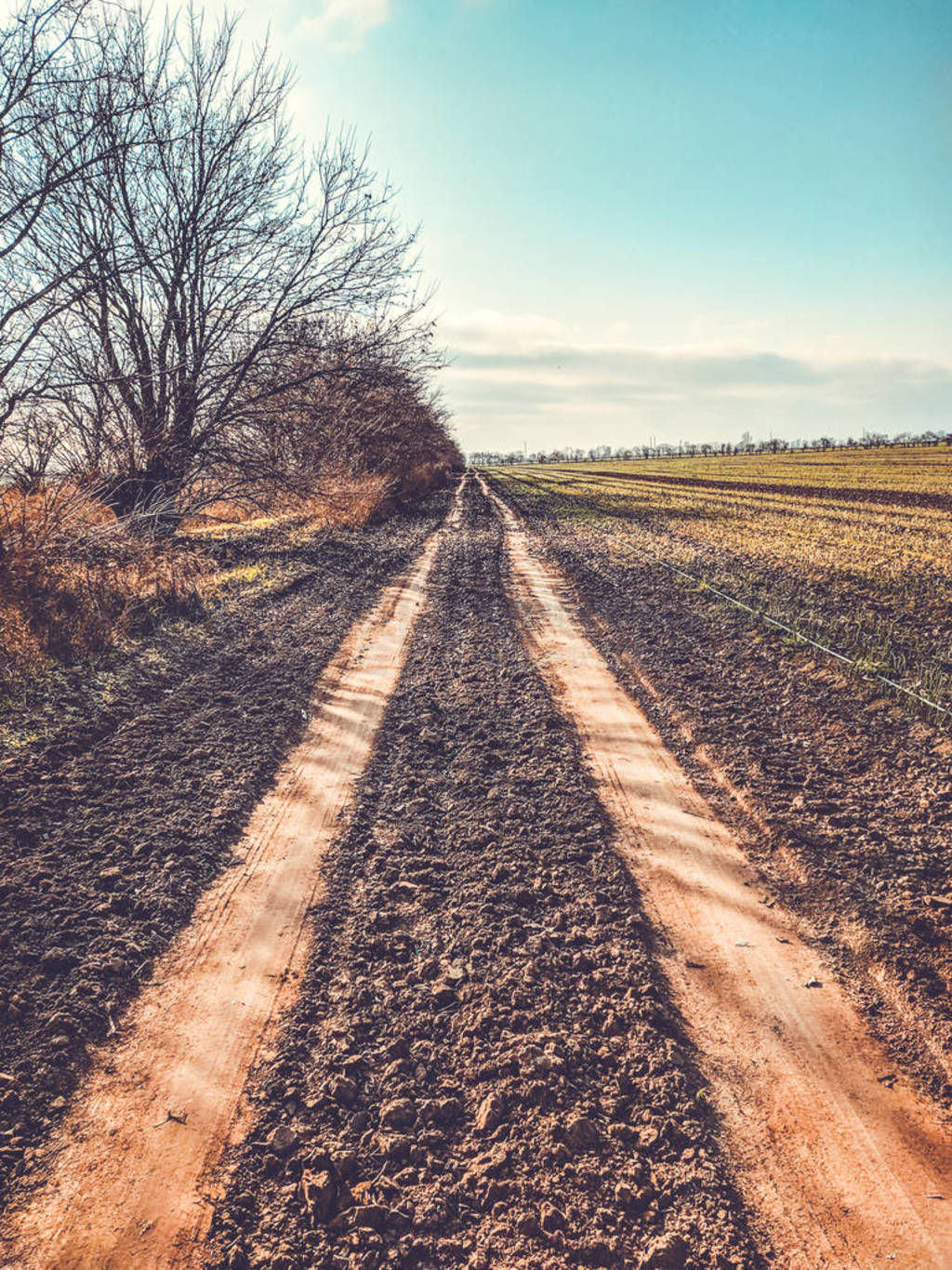 Empty gravel dirt road through countryside landscape and grass f