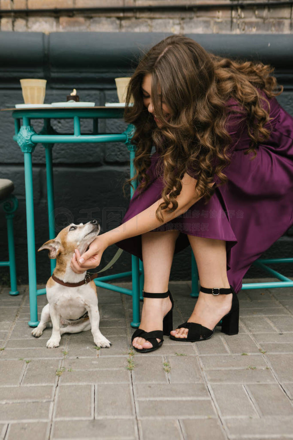Elegant stylish woman petting small dog Jack russell terrier. St