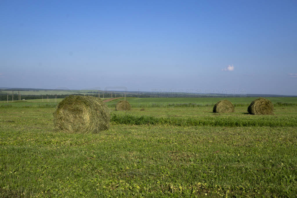 Straw bales on a field in the foreground. Harvest of hay. Cloud