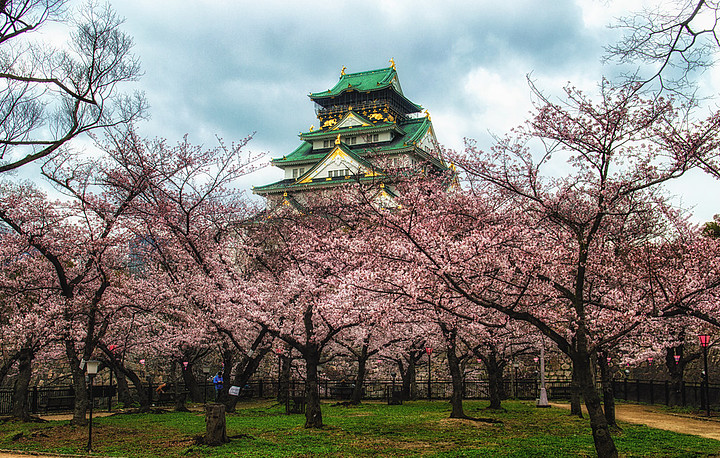 樱花和大阪城堡