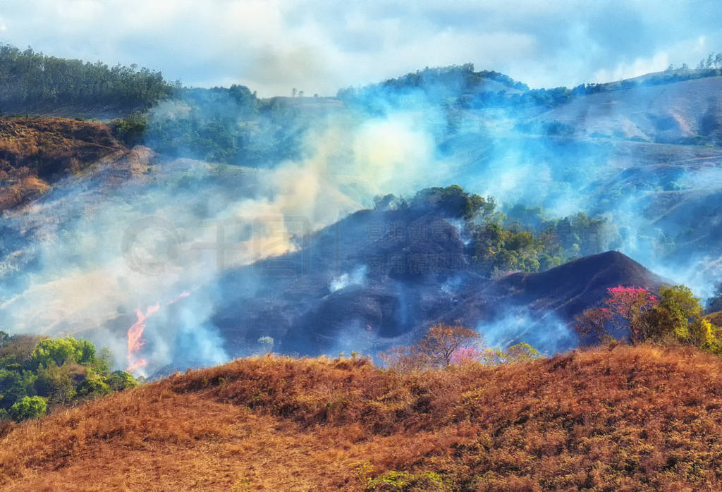 A bush fire melting down an entire landscape