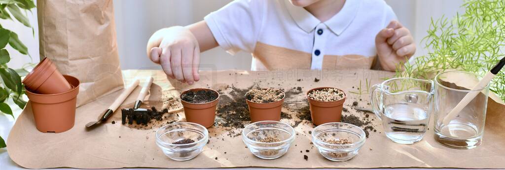 Planting micro green. A child with a hand from a height throws
