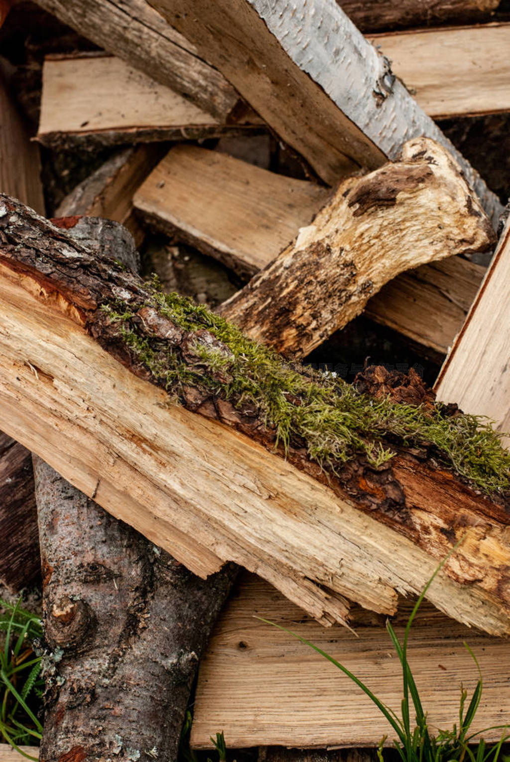 Split dry firewood ready for winter. Background of logs, birch,