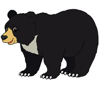 微信黑色的熊的表情包图片